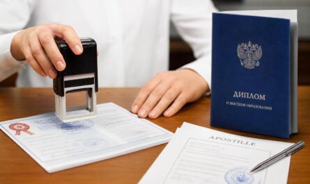 Диплом за границей: почему без легализации он превращается в обычную бумажку